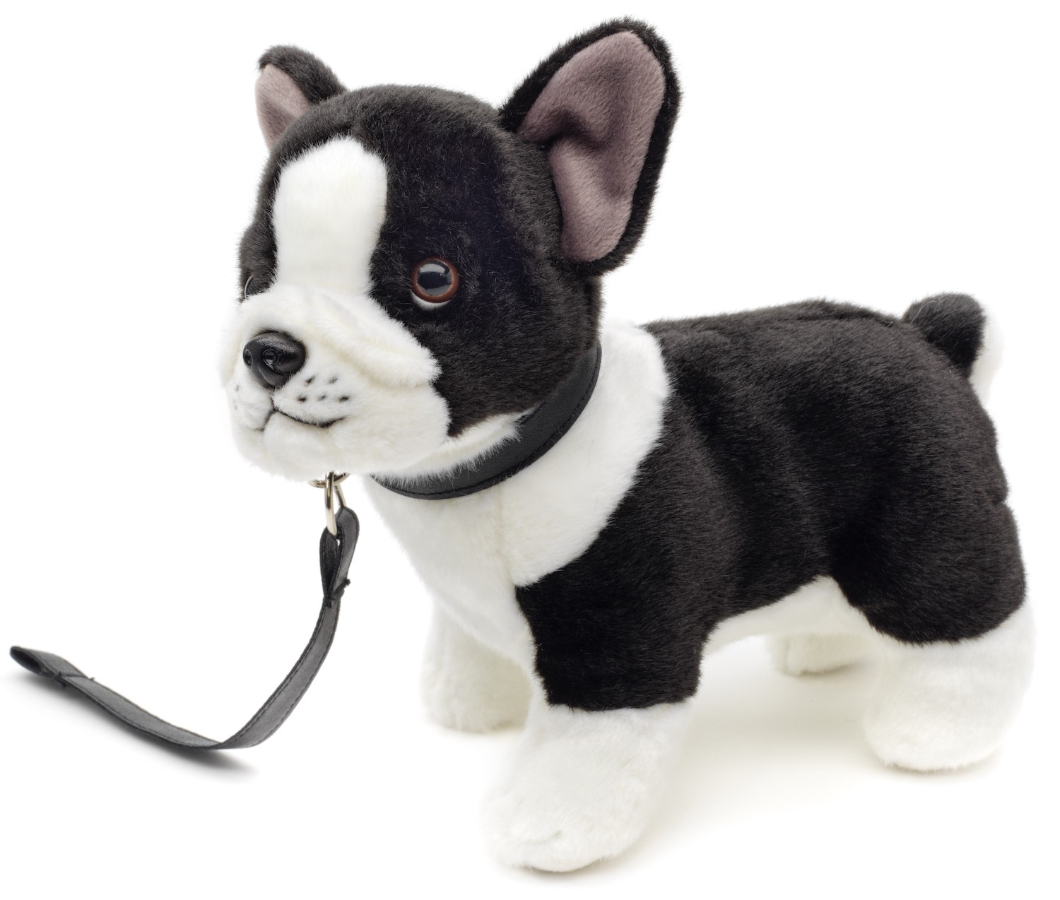 Französische Bulldogge (schwarz-weiß) - Mit Leine - 25 cm (Länge) 