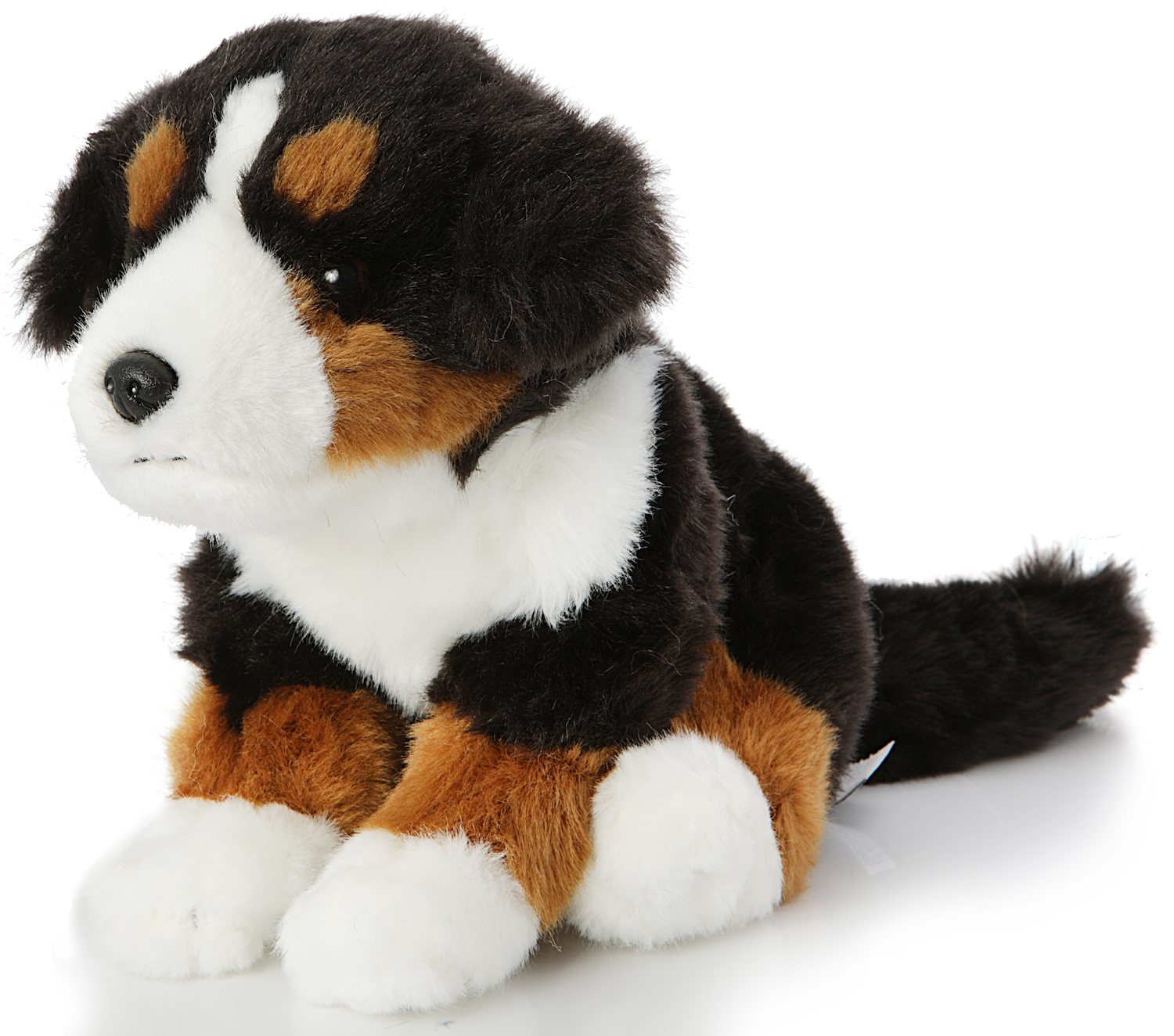 Bernese Mountain Dog puppy, sitting - Without leash - 19 cm (height)