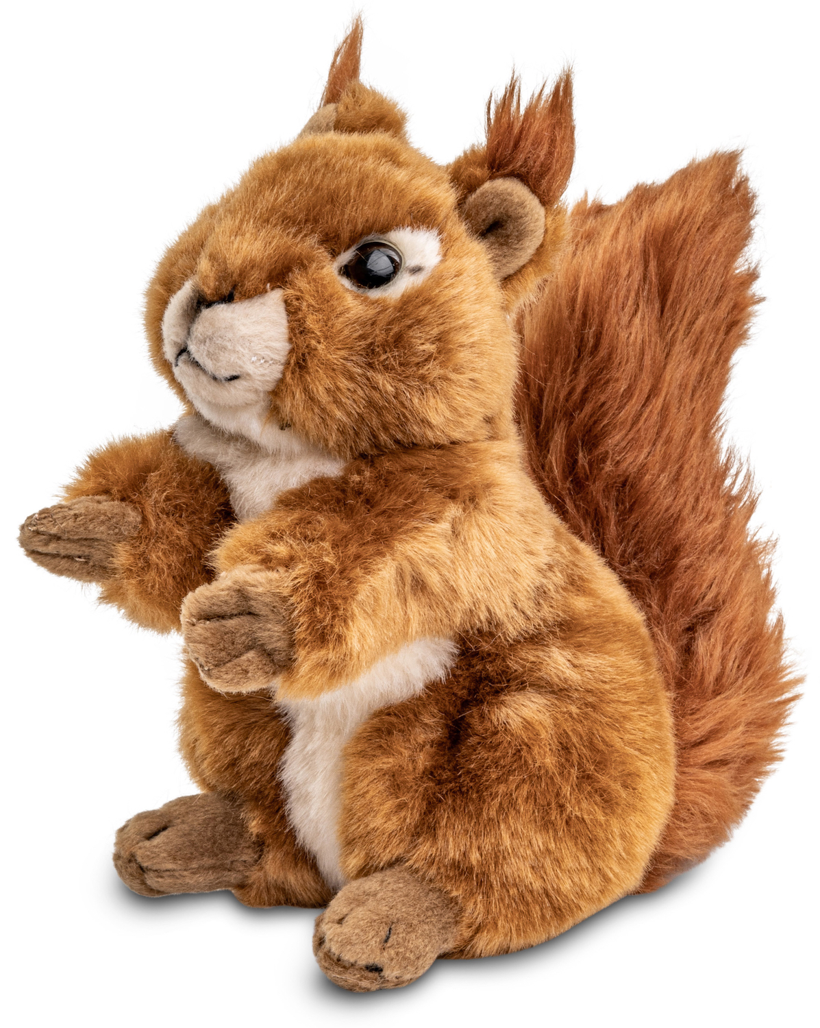 Eichhörnchen, sitzend - 17 cm (Höhe) 