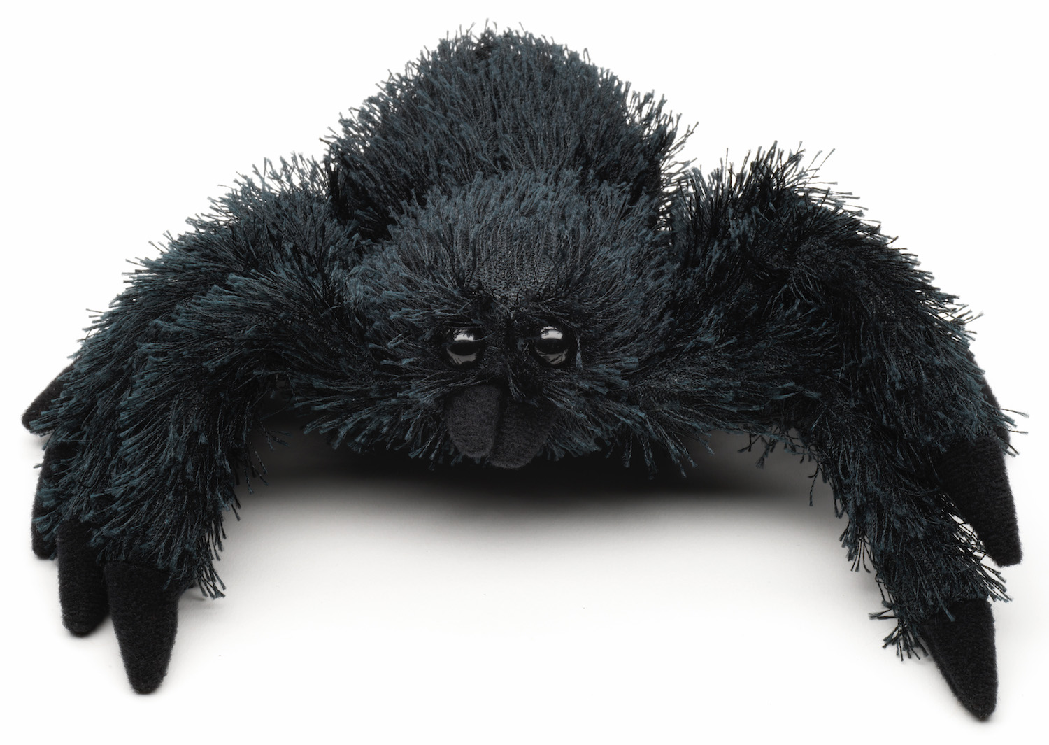 Black spider - 15 cm (length)