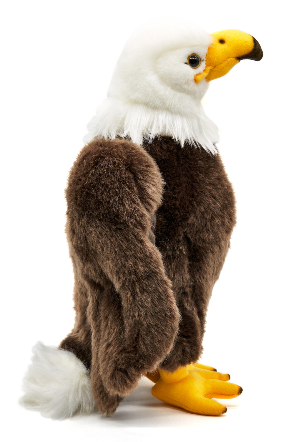 bald eagle - 32 cm (height) -