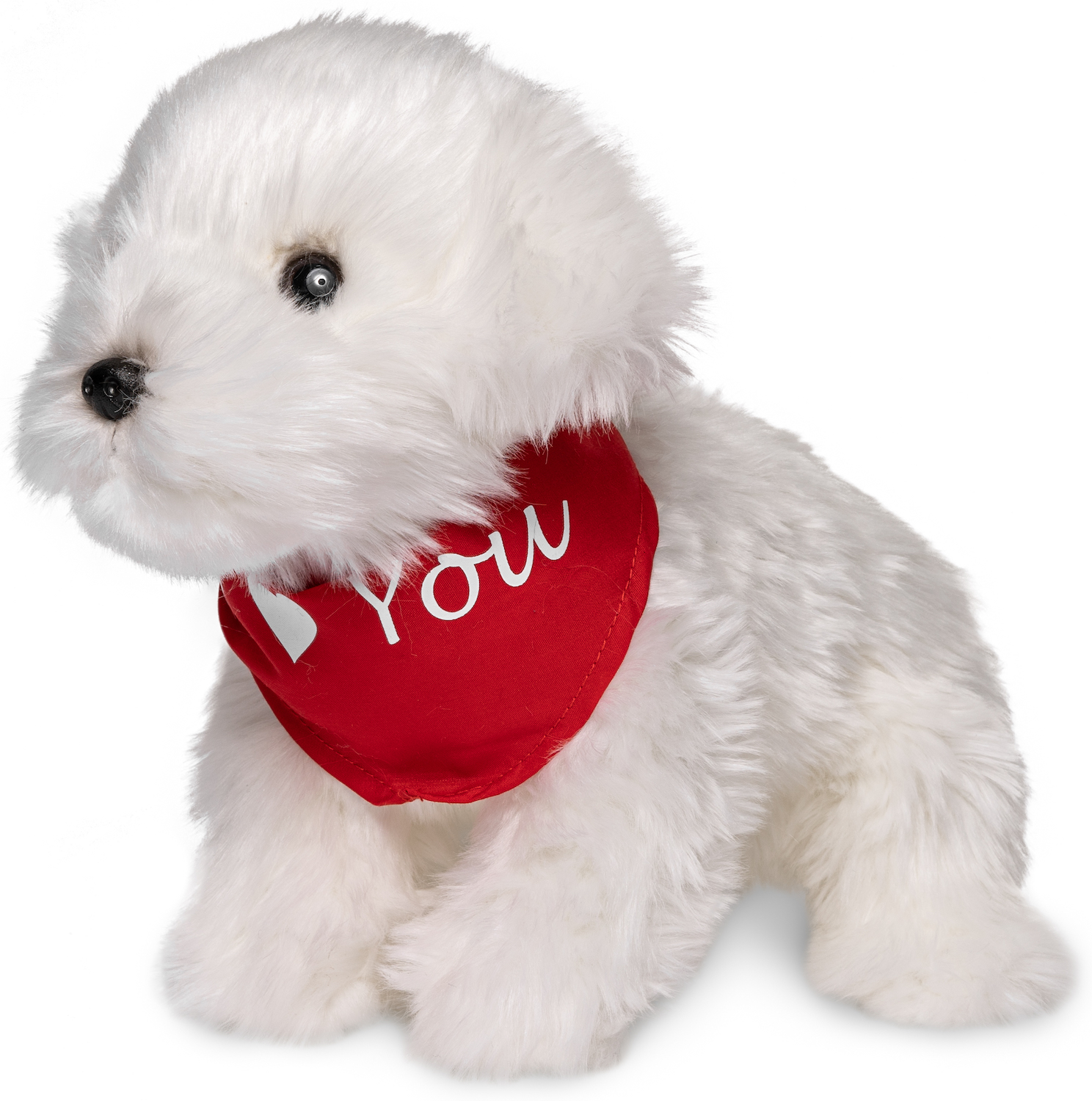 Maltese with scarf "I Love You"