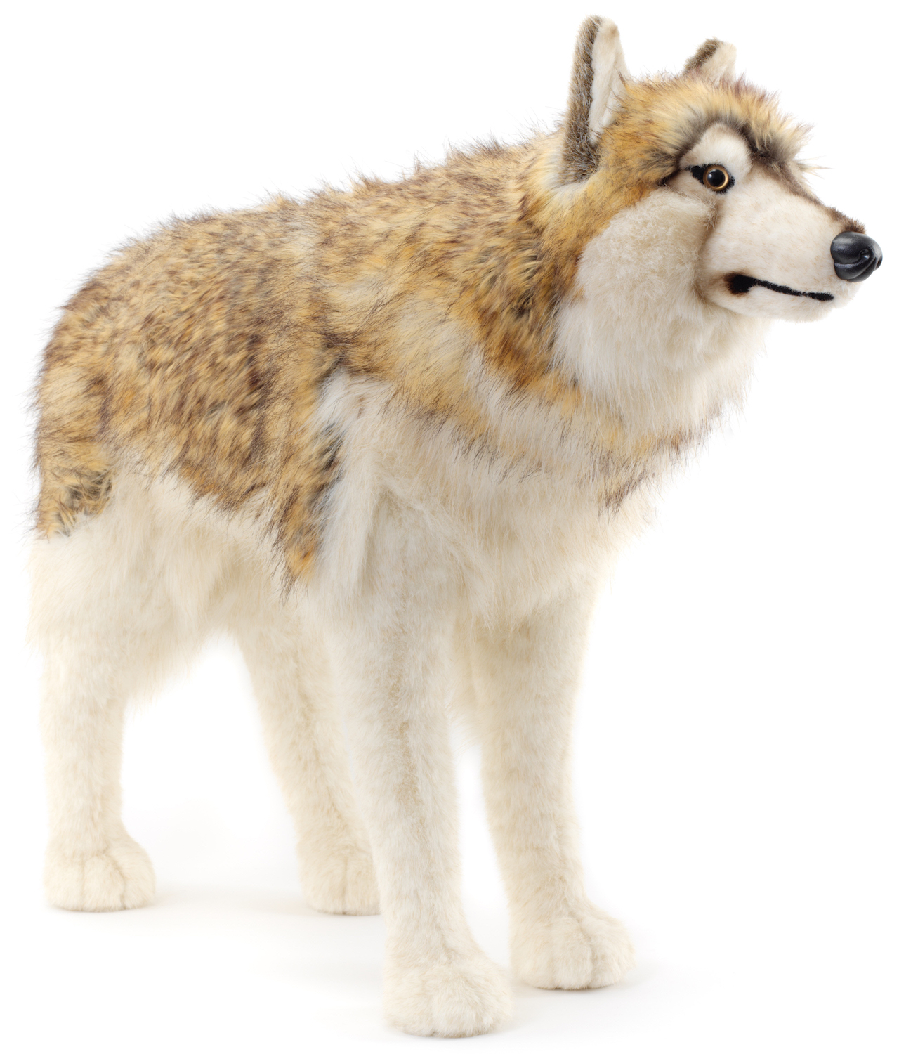 Wolf, stehend - 94 cm (Länge) 