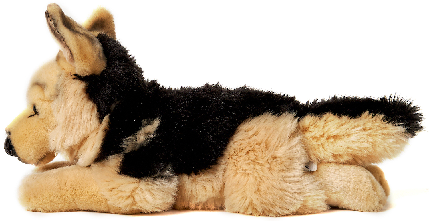 German Shepherd Dog, lying