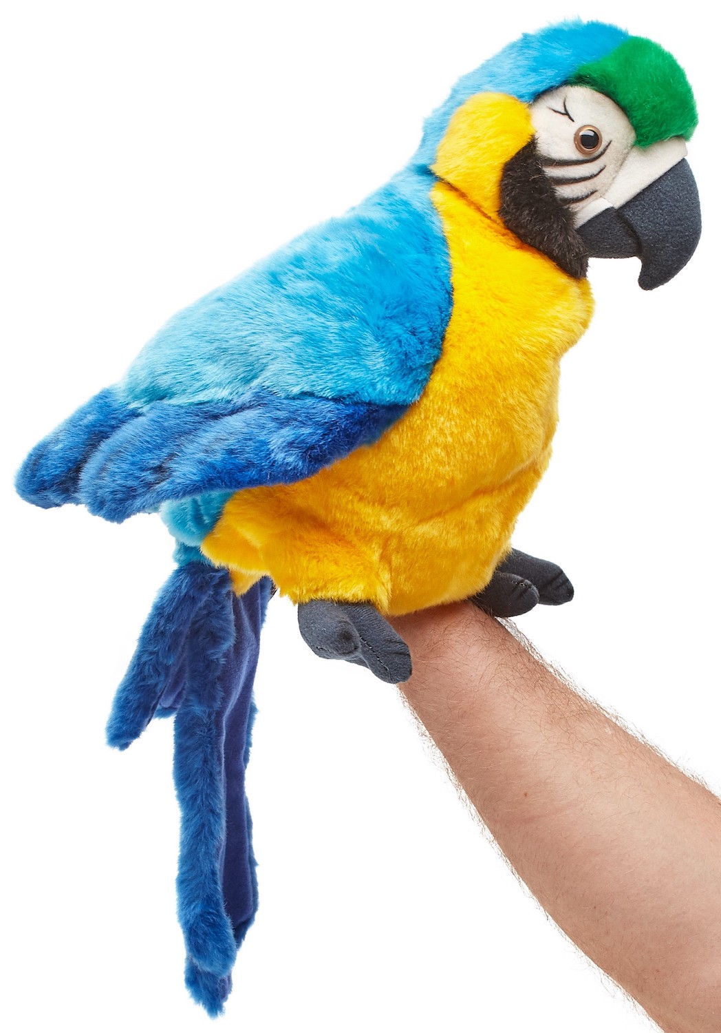  hand puppet parrot with rotatable head - 26 cm (height) 