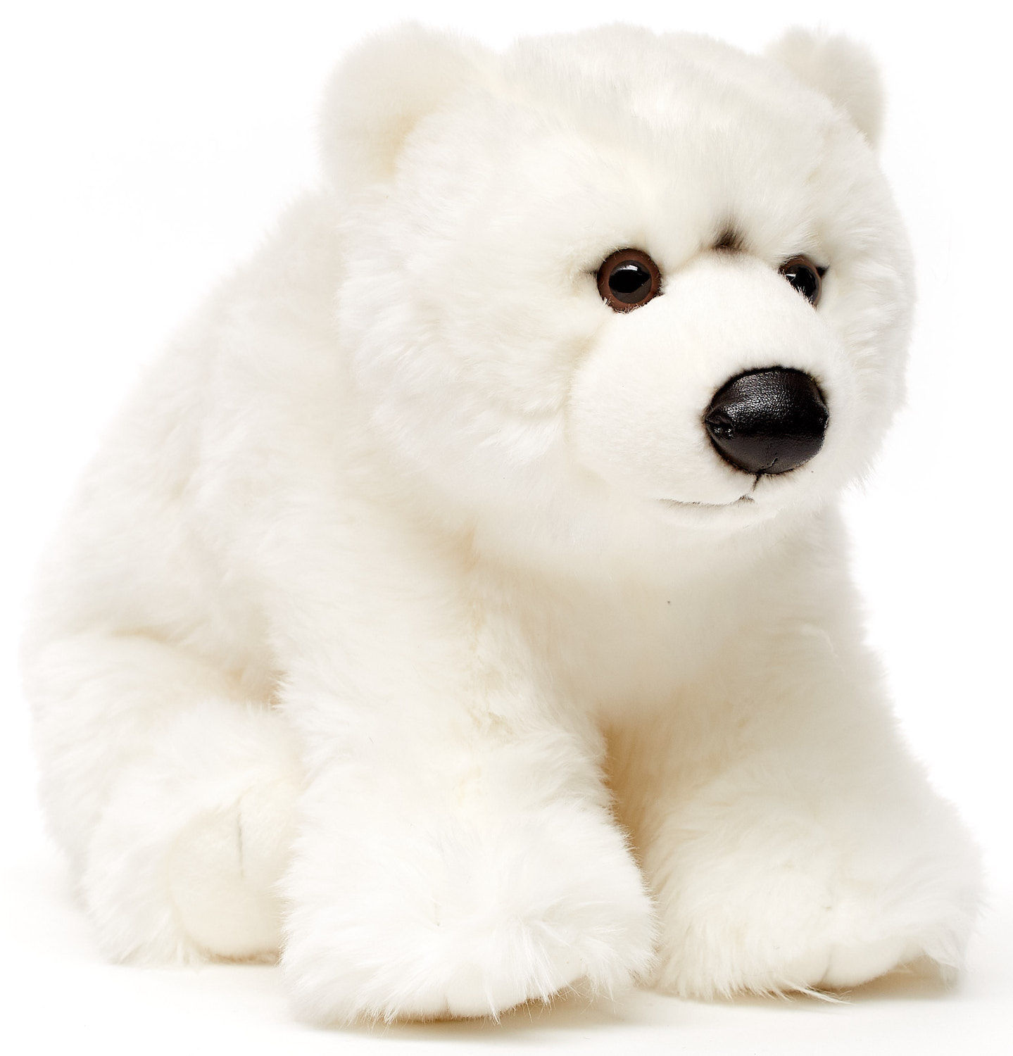 Polar bear cub - 36 cm (length)