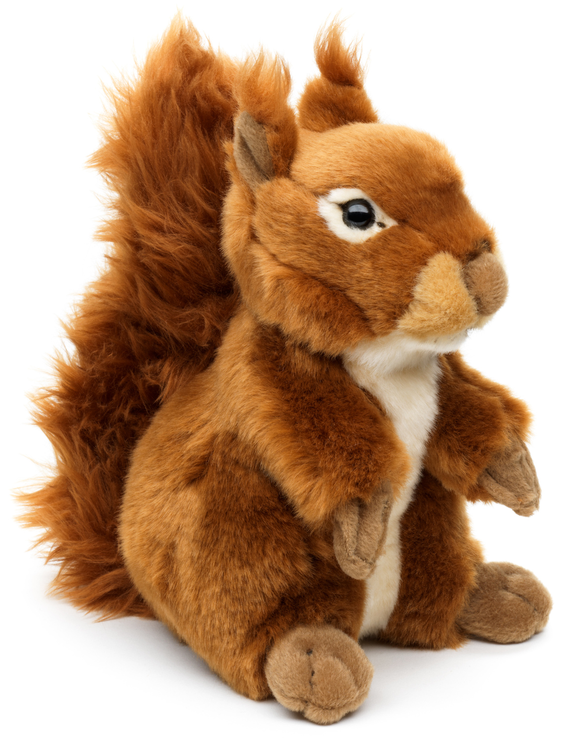 Eichhörnchen, stehend - 22 cm (Höhe) 