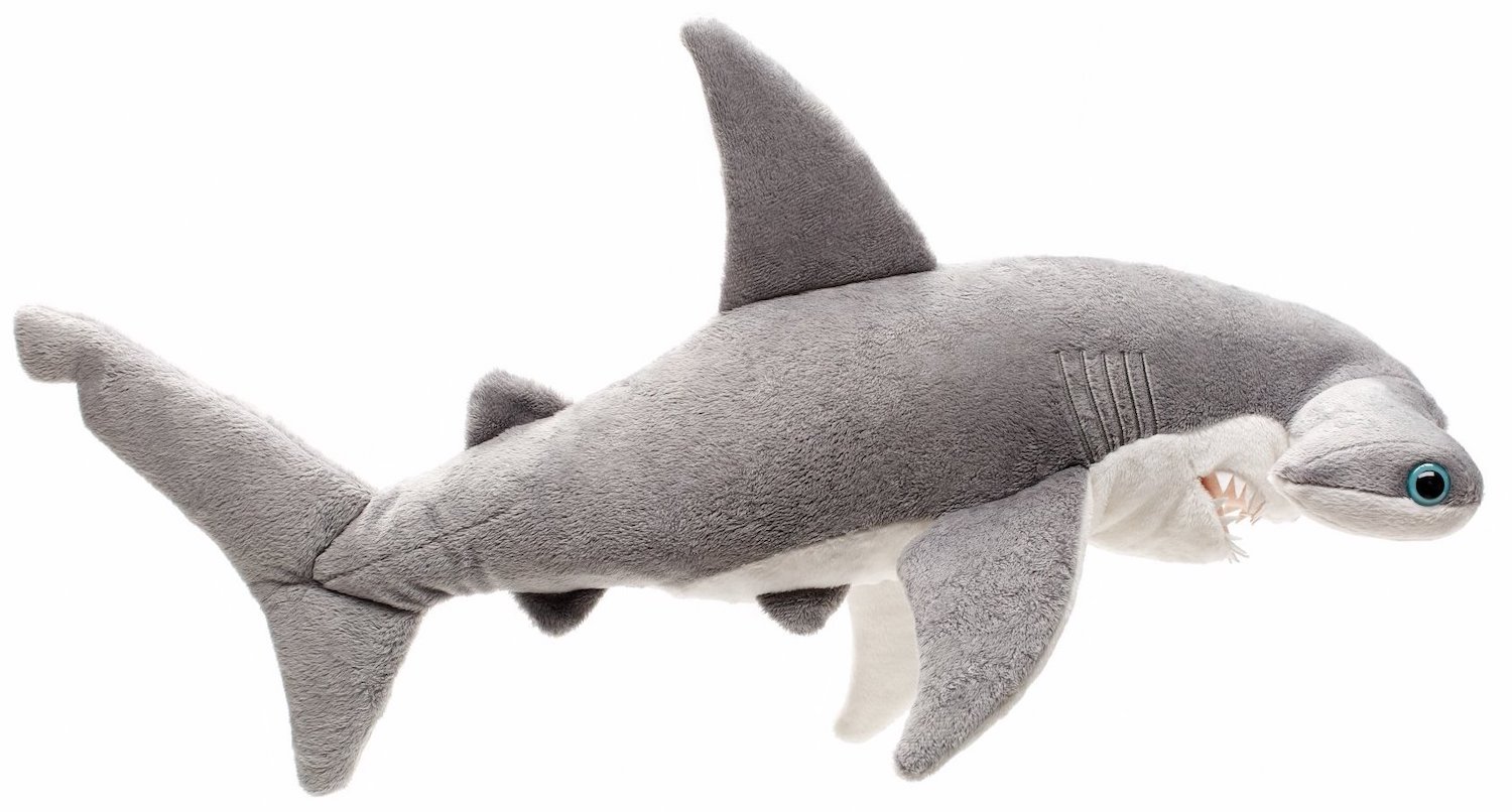 Hammerhead shark - 49 cm (length)