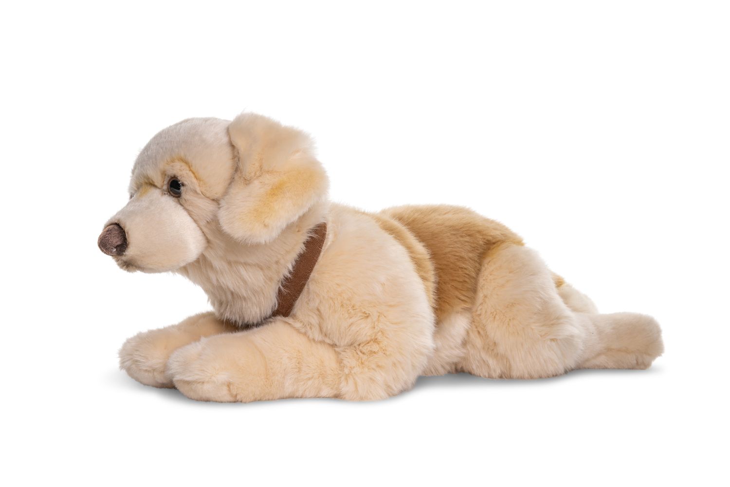 Golden Retriever, liegend, mit Geschirr - 60 cm (Länge) - Plüsch-Hund, Haustier - Plüschtier, Kuscheltier