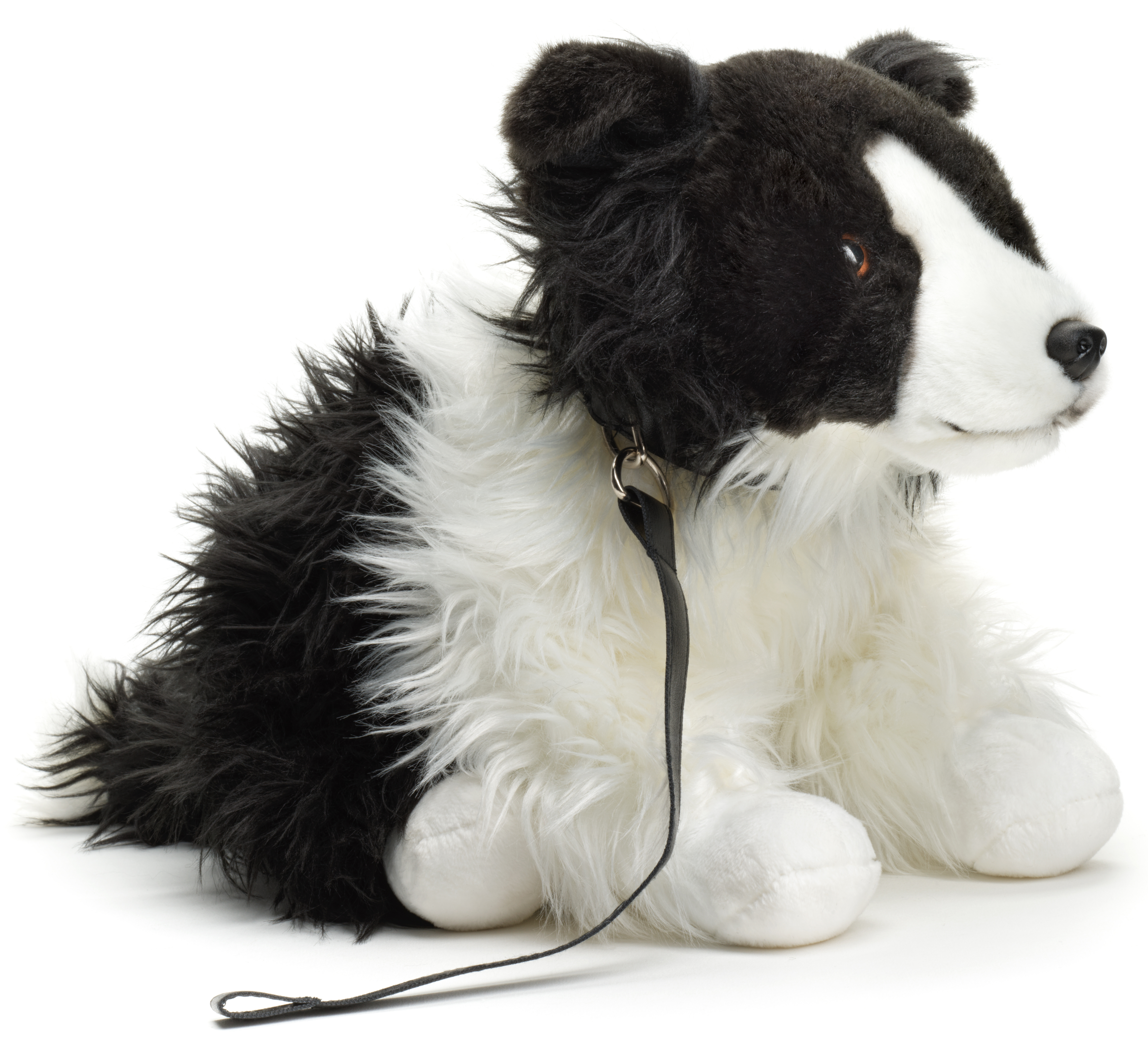 Border Collie, sitting (with lead) - 26 cm (height)