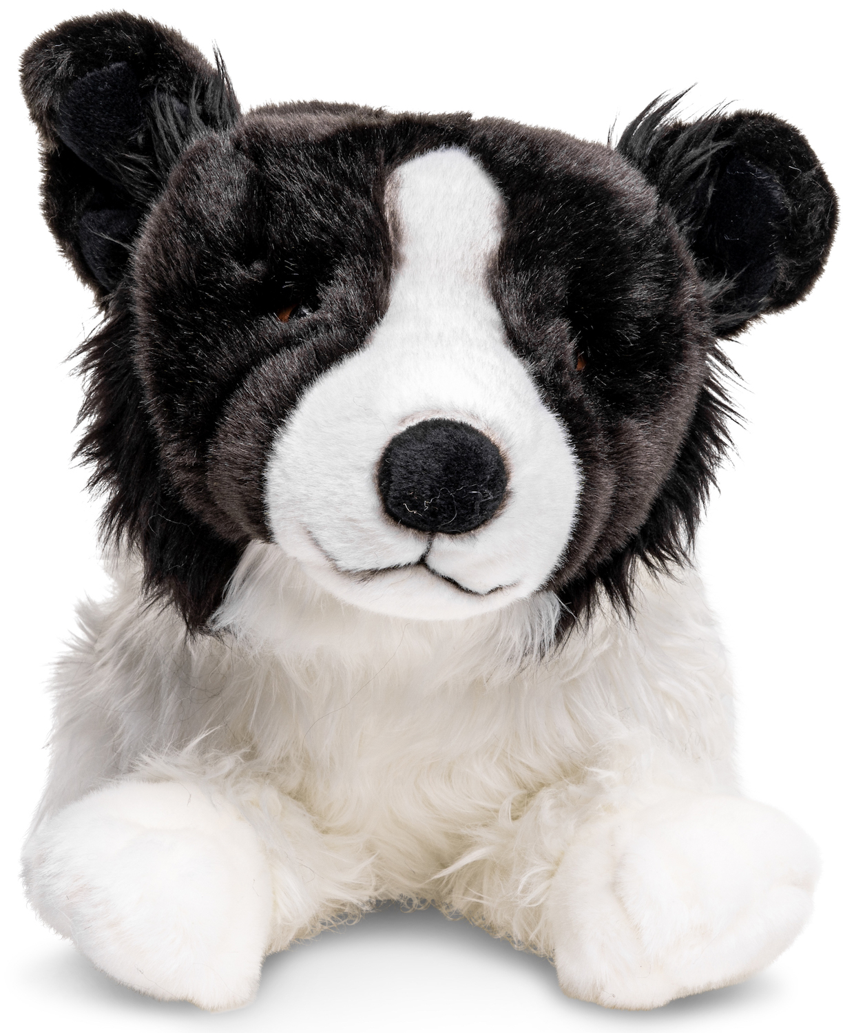 Border Collie Black And White, Lying (Without Harness) - 64 cm (length) 