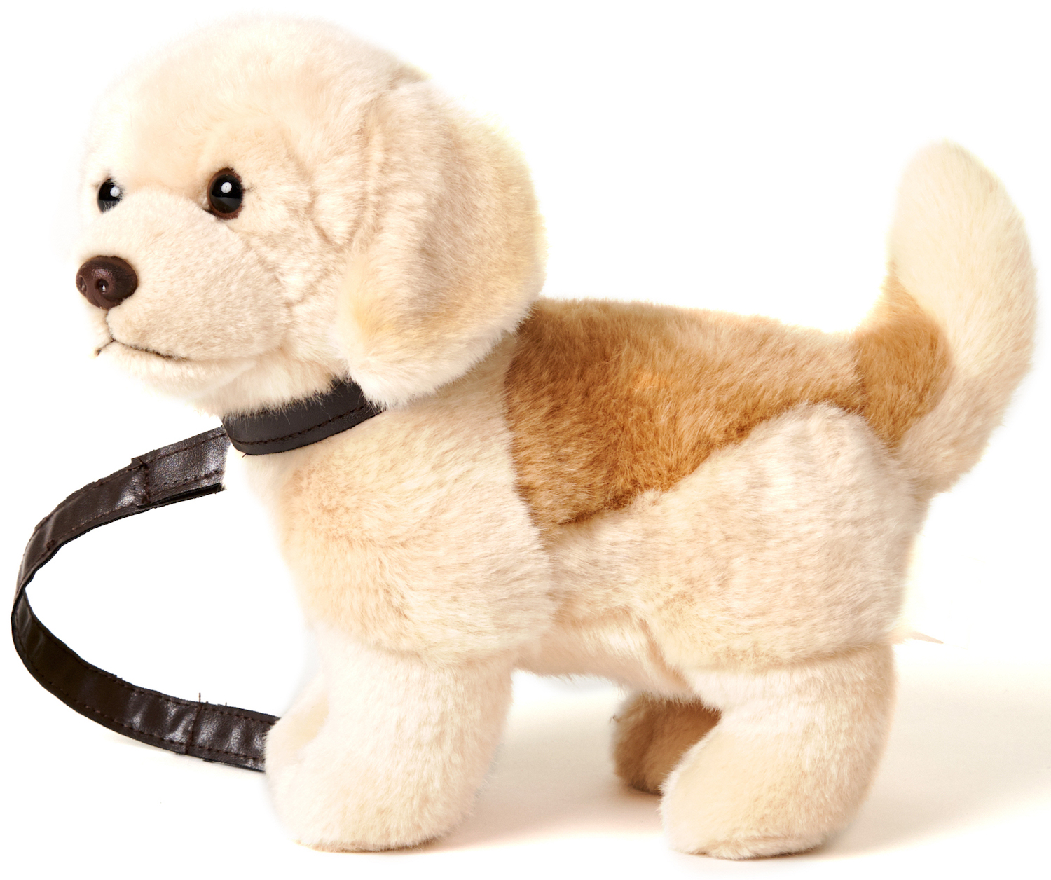 Golden Retriever Puppy, Standing (With Leash) - 22 cm (height)