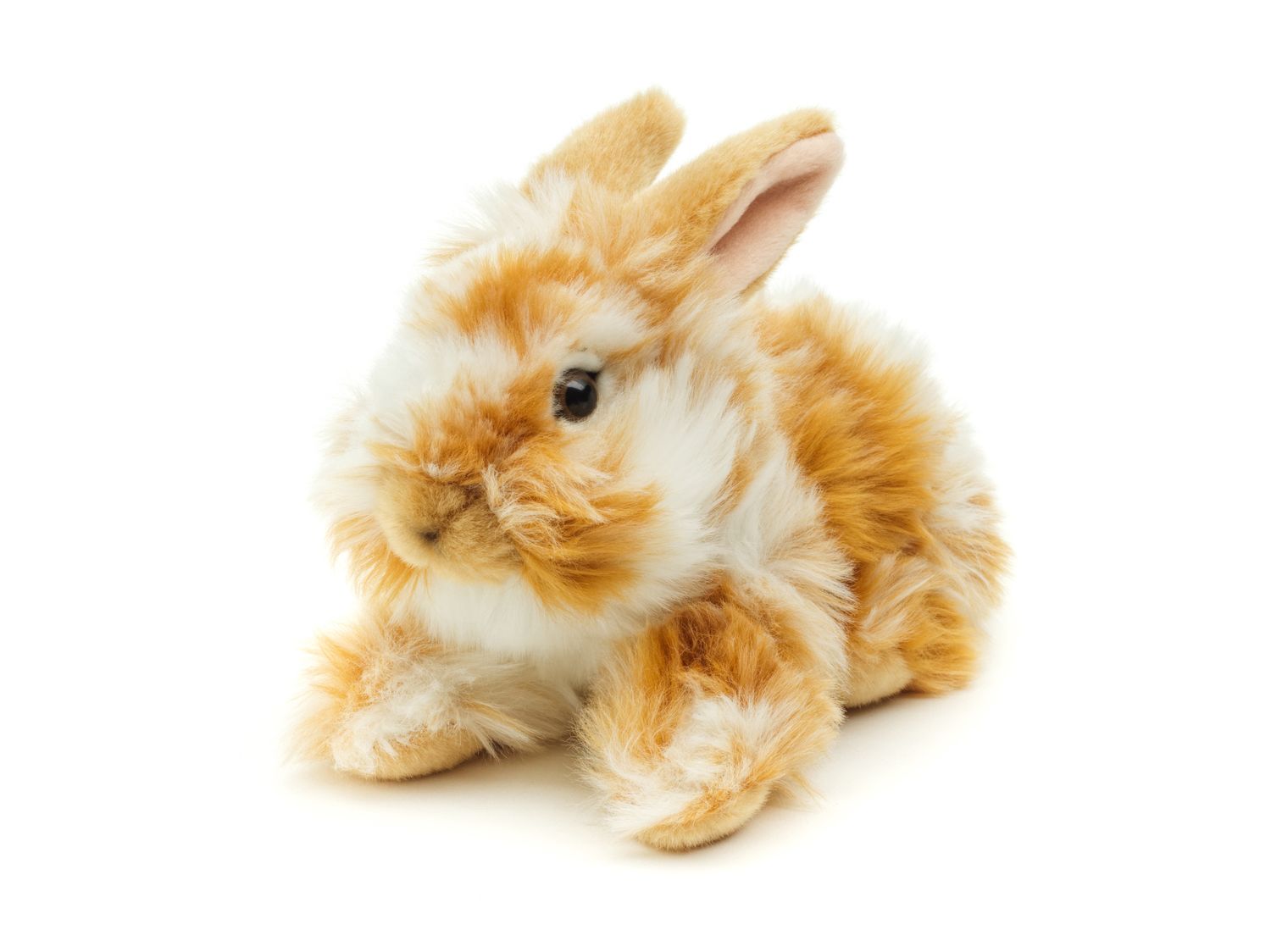 Löwenkopf-Kaninchen mit aufgestellten Ohren - liegend - Gold-weiß gescheckt - 23 cm (Höhe) - Plüsch-Hase - Plüschtier, Kuscheltier
