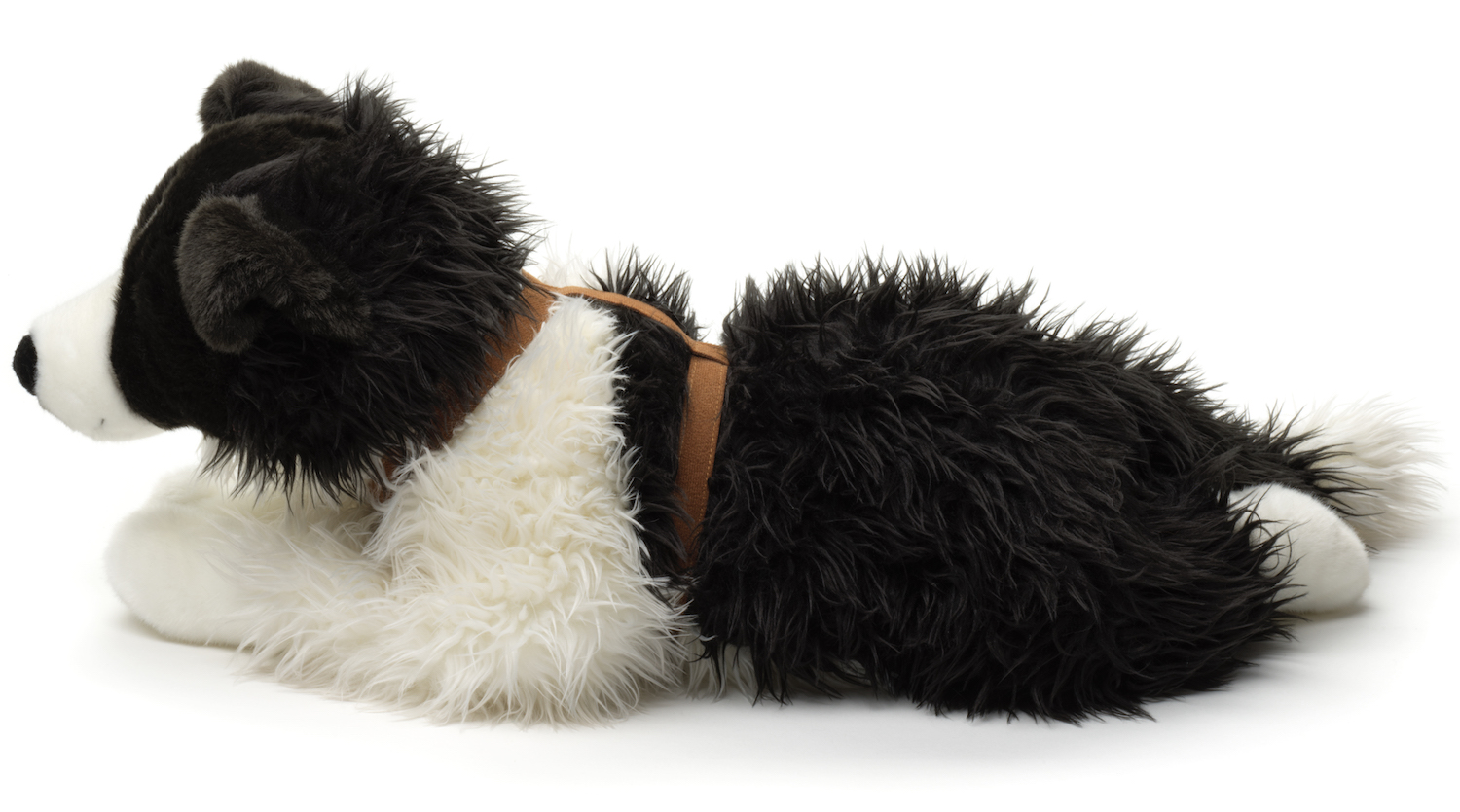 Border Collie Black And White, Lying (With Harness) - 64 cm (length) 
