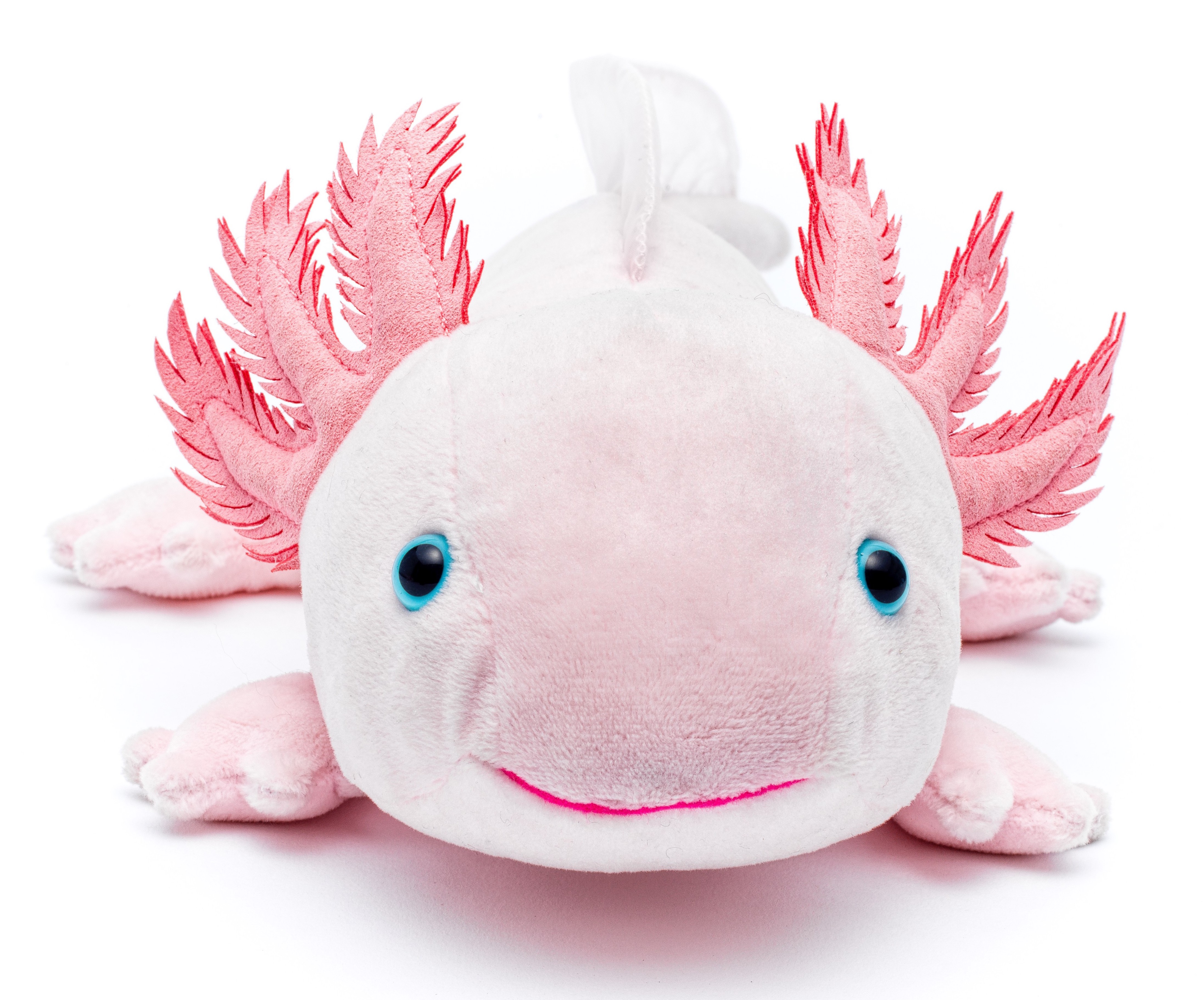 Axolotl (rosa) - 32 cm (Länge) 