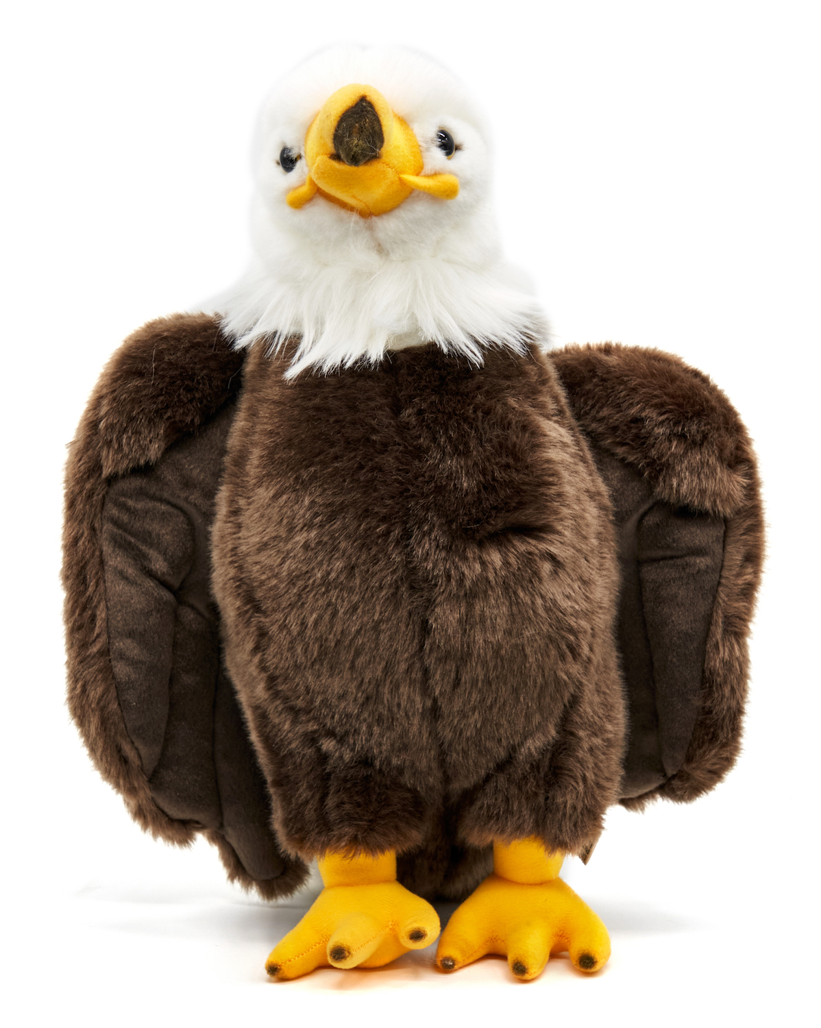 bald eagle - 32 cm (height) -