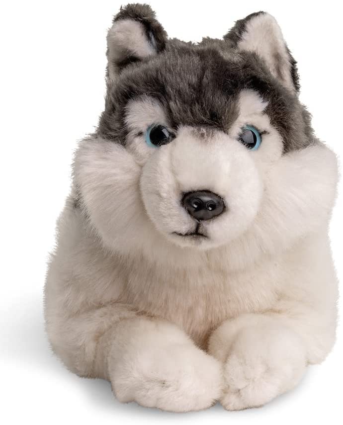 35cm lang Uni-Toys Neuware wunderschöner liegender Hund Husky ca 