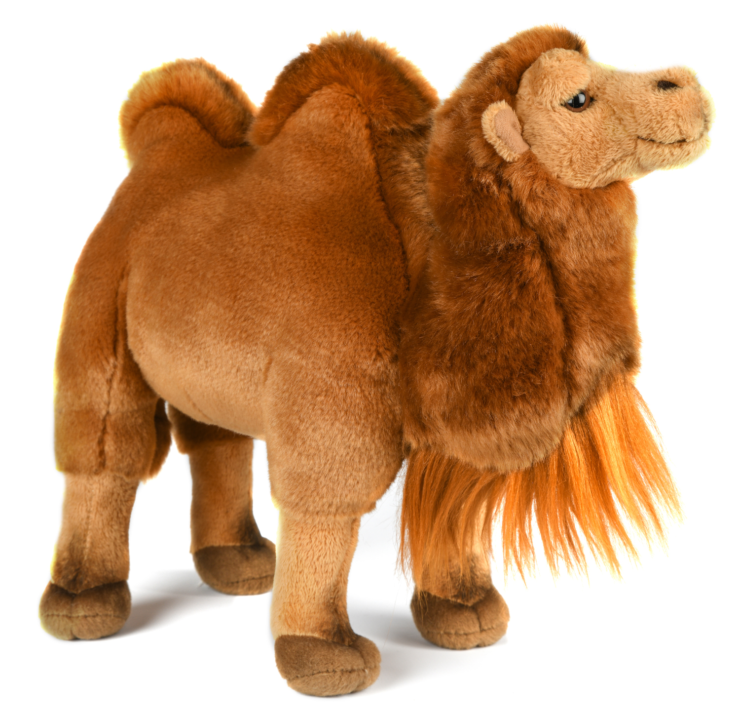 Kamel, stehend - 25 cm (Höhe) 