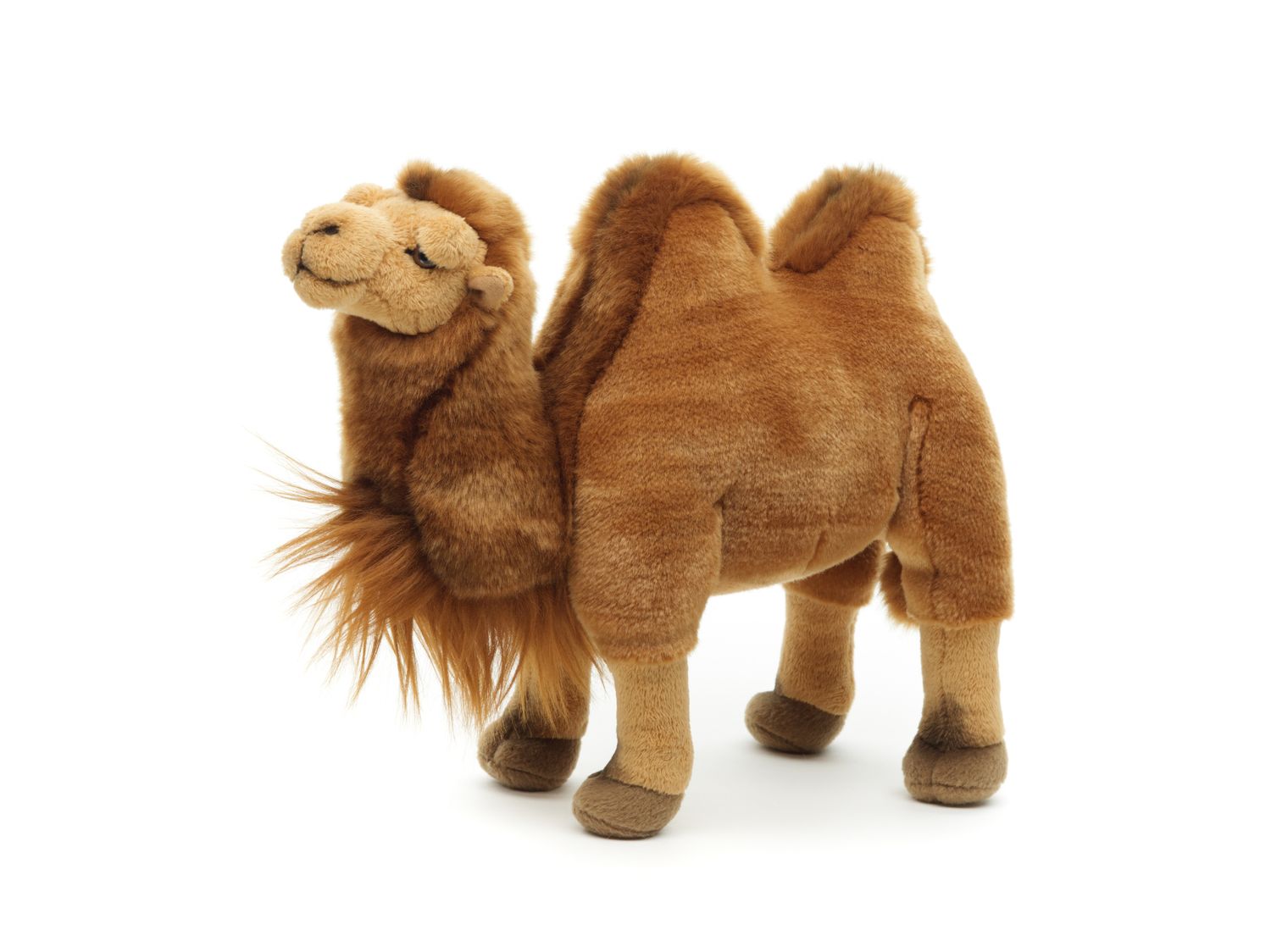 Kamel, stehend - 25 cm (Höhe) - Plüsch-Kamel, Trampeltier - Plüschtier, Kuscheltier