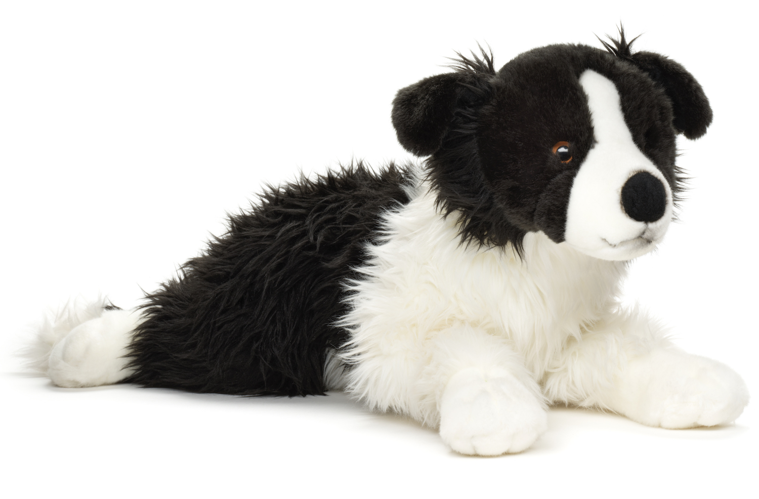 Border Collie Black And White, Lying (Without Harness) - 64 cm (length) 