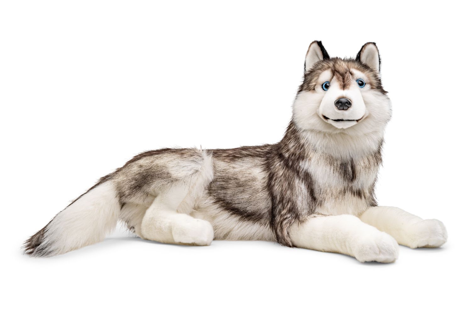 Uni-Toys Neuware Hund Husky liegend ca 40 cm lang 