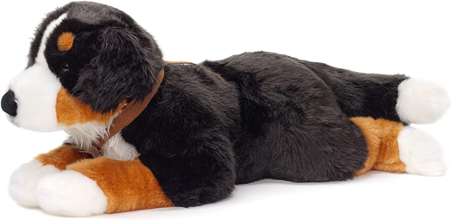 Berner Sennenhund, liegend (mit Geschirr) - 62 cm (Länge) 