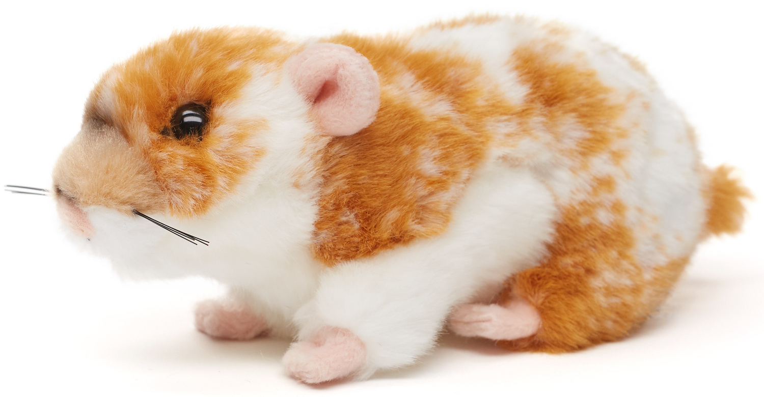 Golden hamster, golden brown - 18 cm (length) 