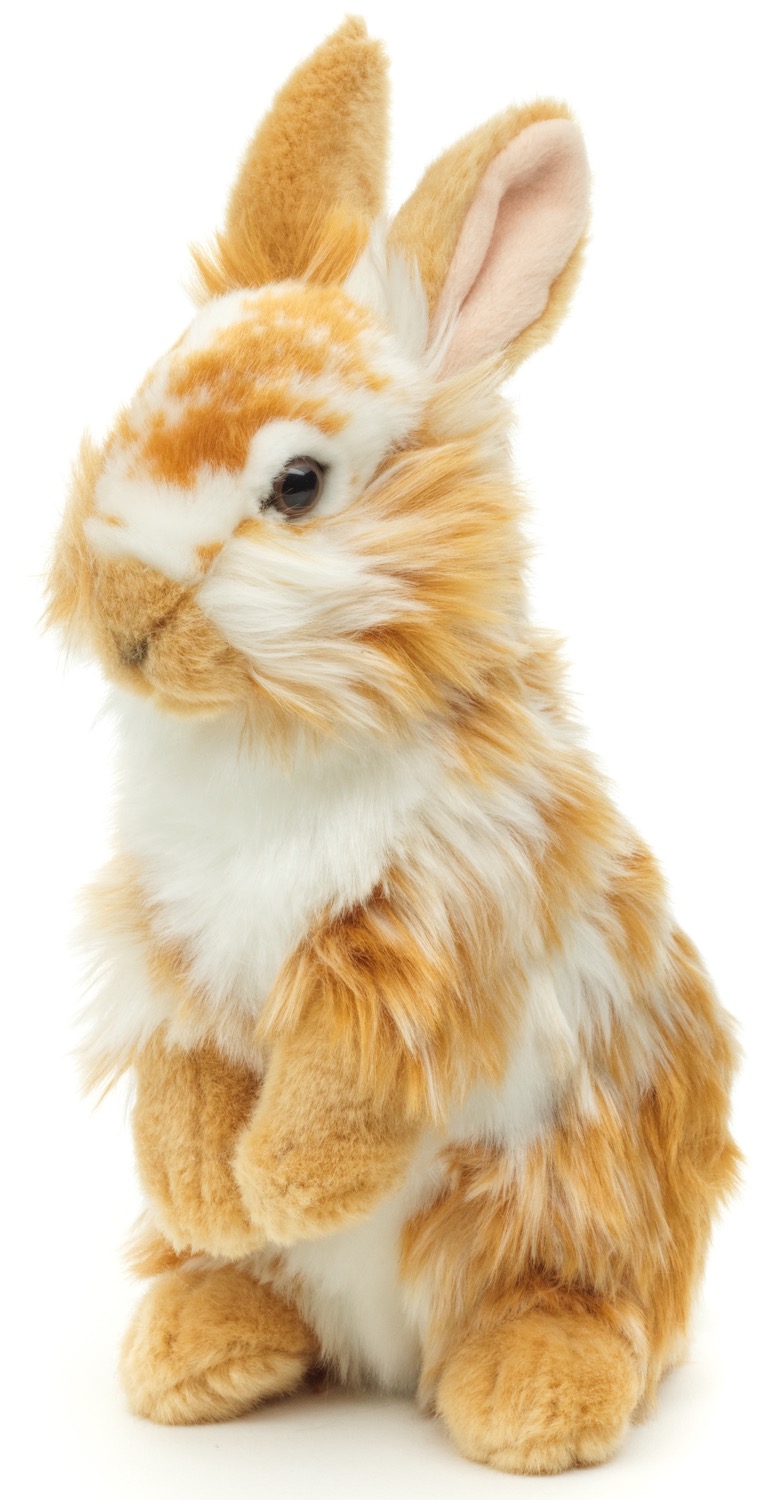 Lion head rabbit with erect ears - standing - gold and white pied - 23 cm (height) - plush rabbit - soft toy, cuddly toy