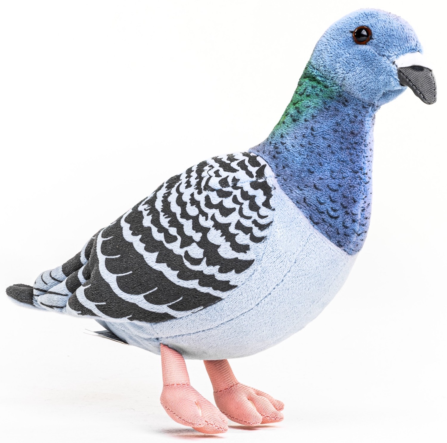 wood pigeon - 20 cm (height) - pigeon, bird 
