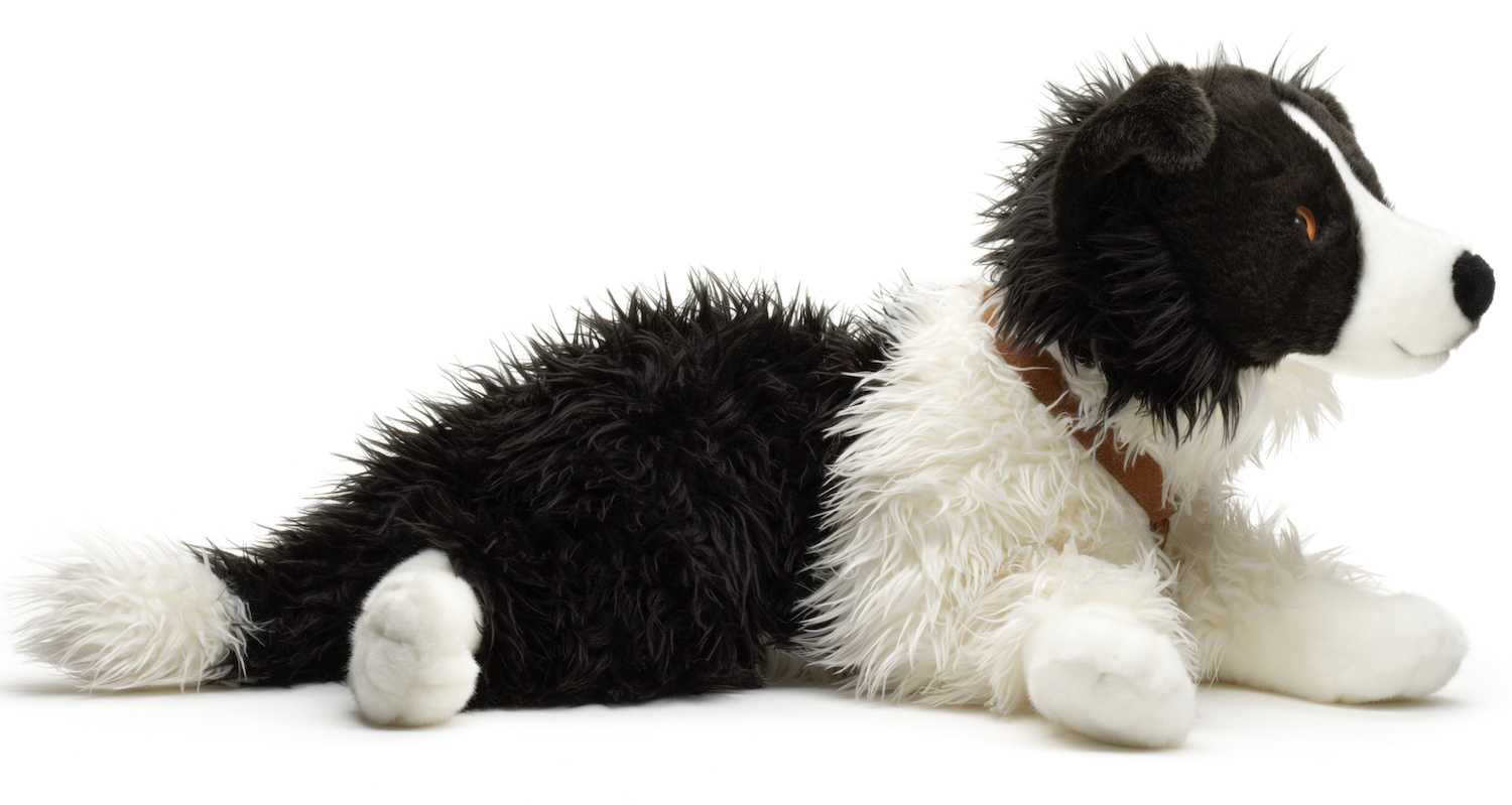 Border Collie Black And White, Lying (With Harness) - 64 cm (length) 