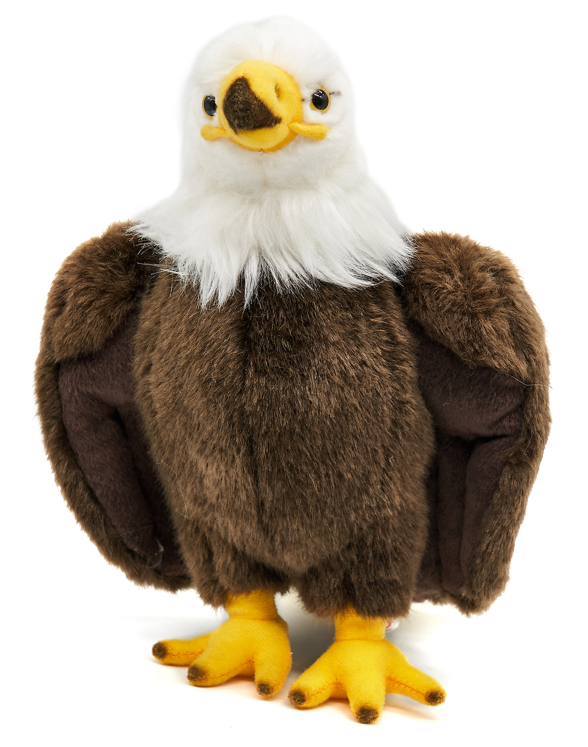  Bald Eagle - 24 cm (height) 