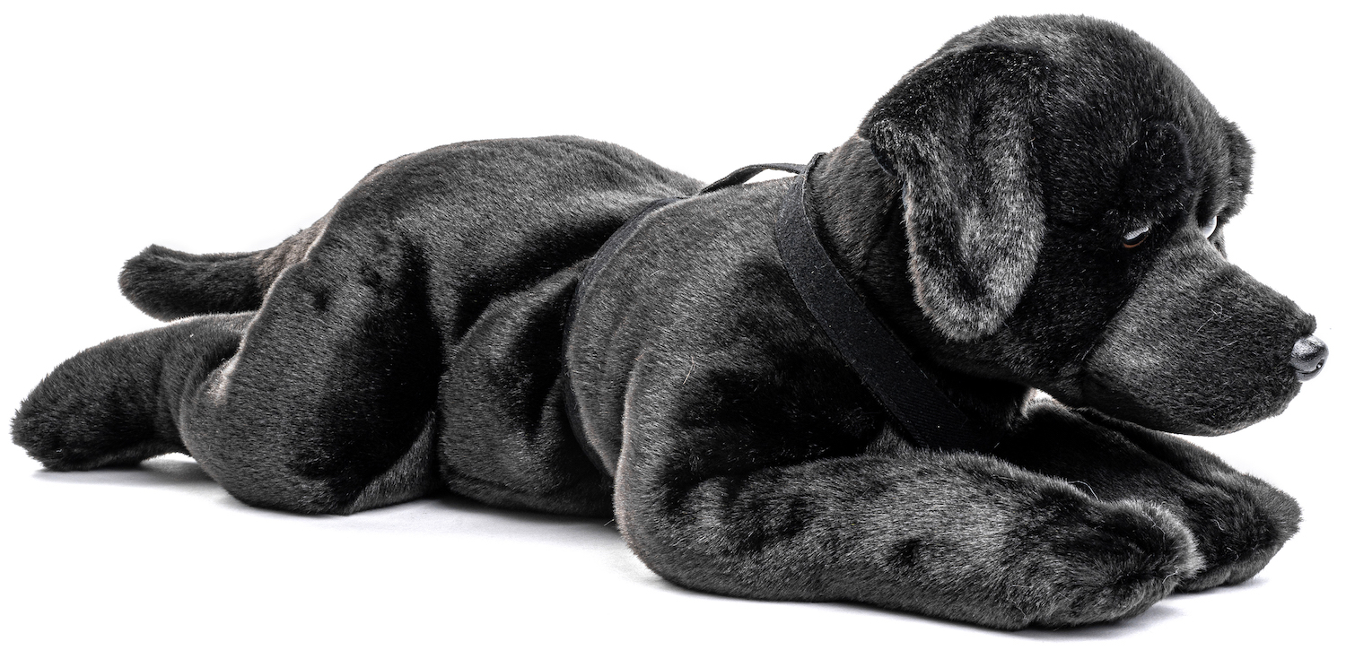 Labrador, liegend, mit Geschirr (schwarz) - 60 cm (Länge) 