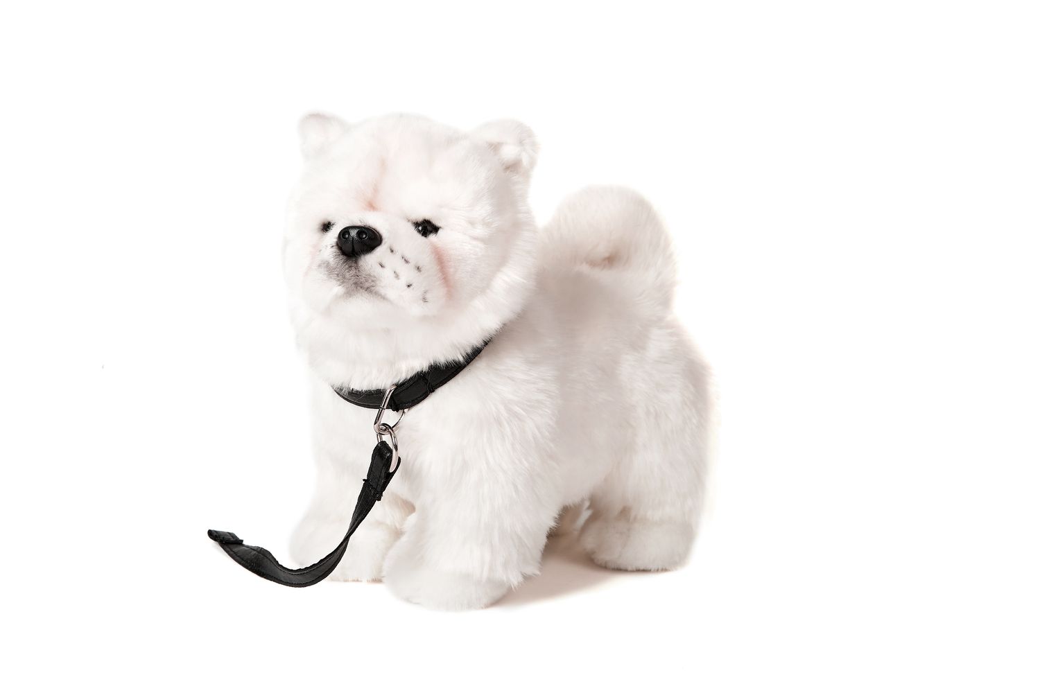 Chow Chow weiß, stehend, mit Leine - 24 cm (Höhe) - Plüsch-Hund, Haustier - Plüschtier, Kuscheltier