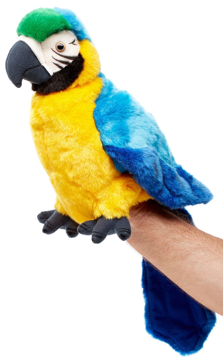 Handpuppe Papagei, mit drehbarem Kopf - 26 cm (Höhe) 