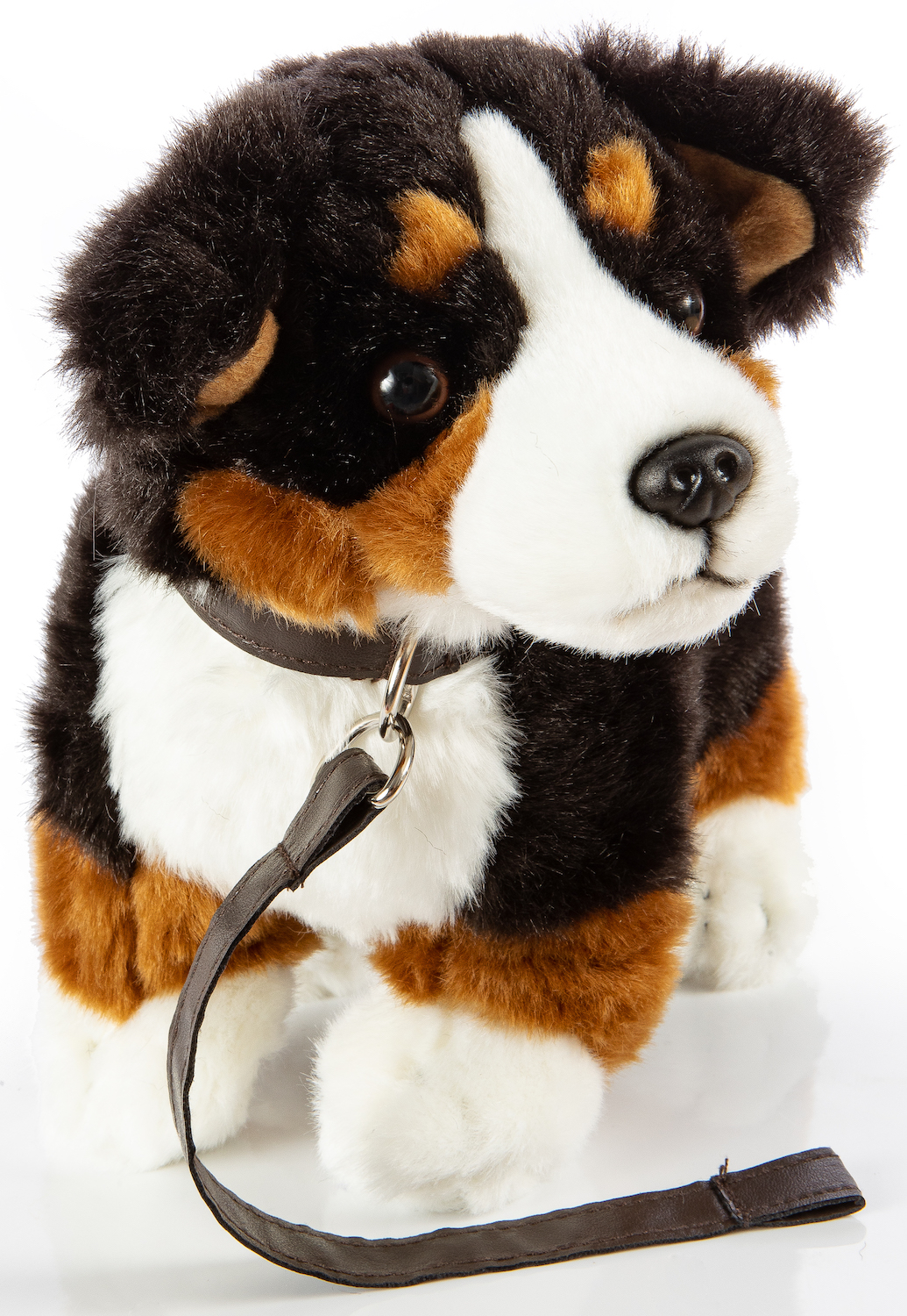 Bernese Mountain Dog, standing, with lead - 27 cm (length)