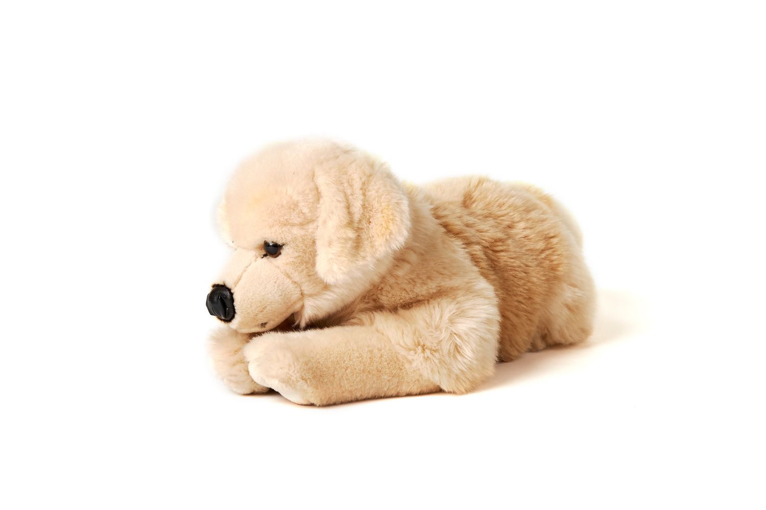Golden Retriever, liegend - 40 cm (Länge) - Plüsch-Hund, Haustier - Plüschtier, Kuscheltier