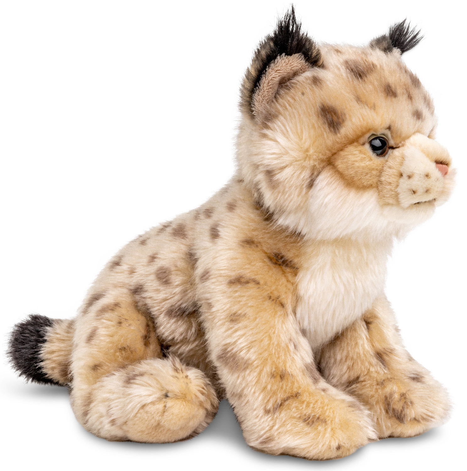  Lynx cub, sitting - 22 cm (height)