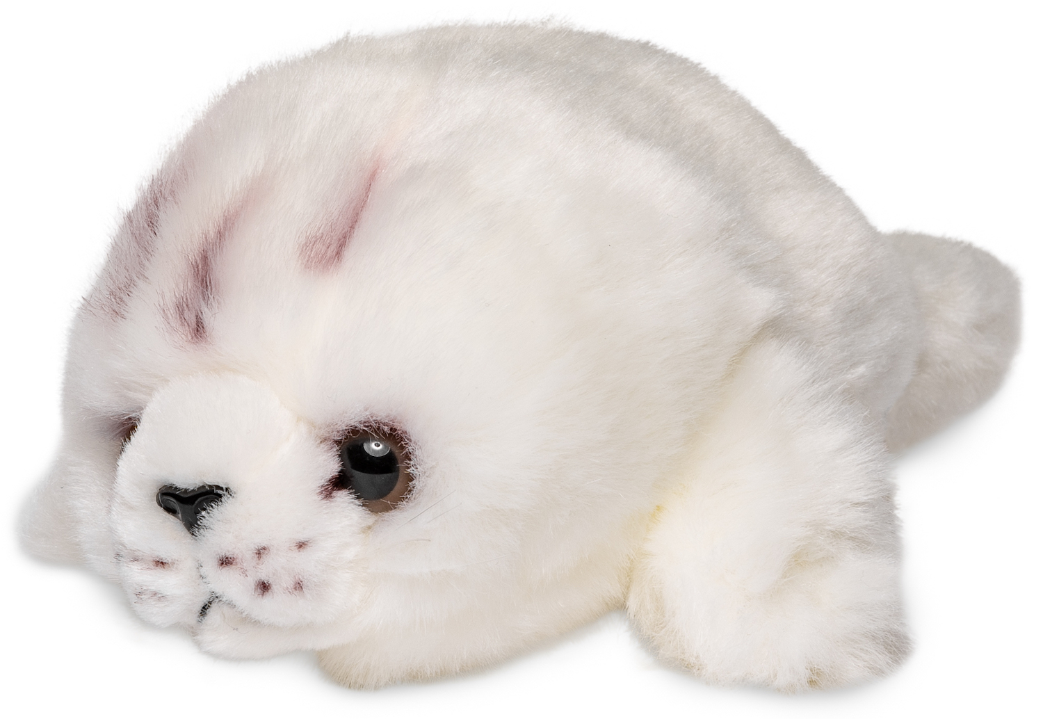 Baby seal white