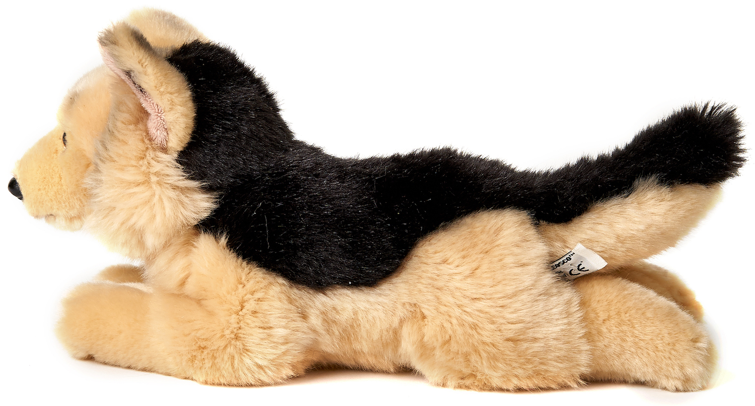 German Shepherd Dog, lying