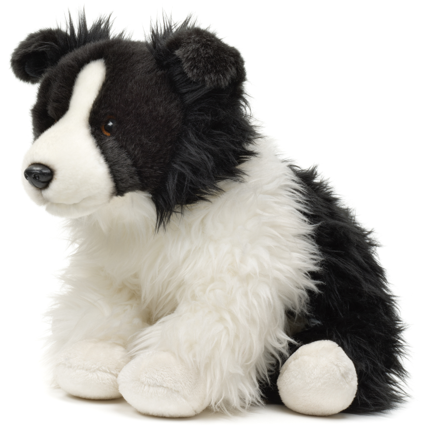 Border Collie, sitting (without lead) - 26 cm (height)