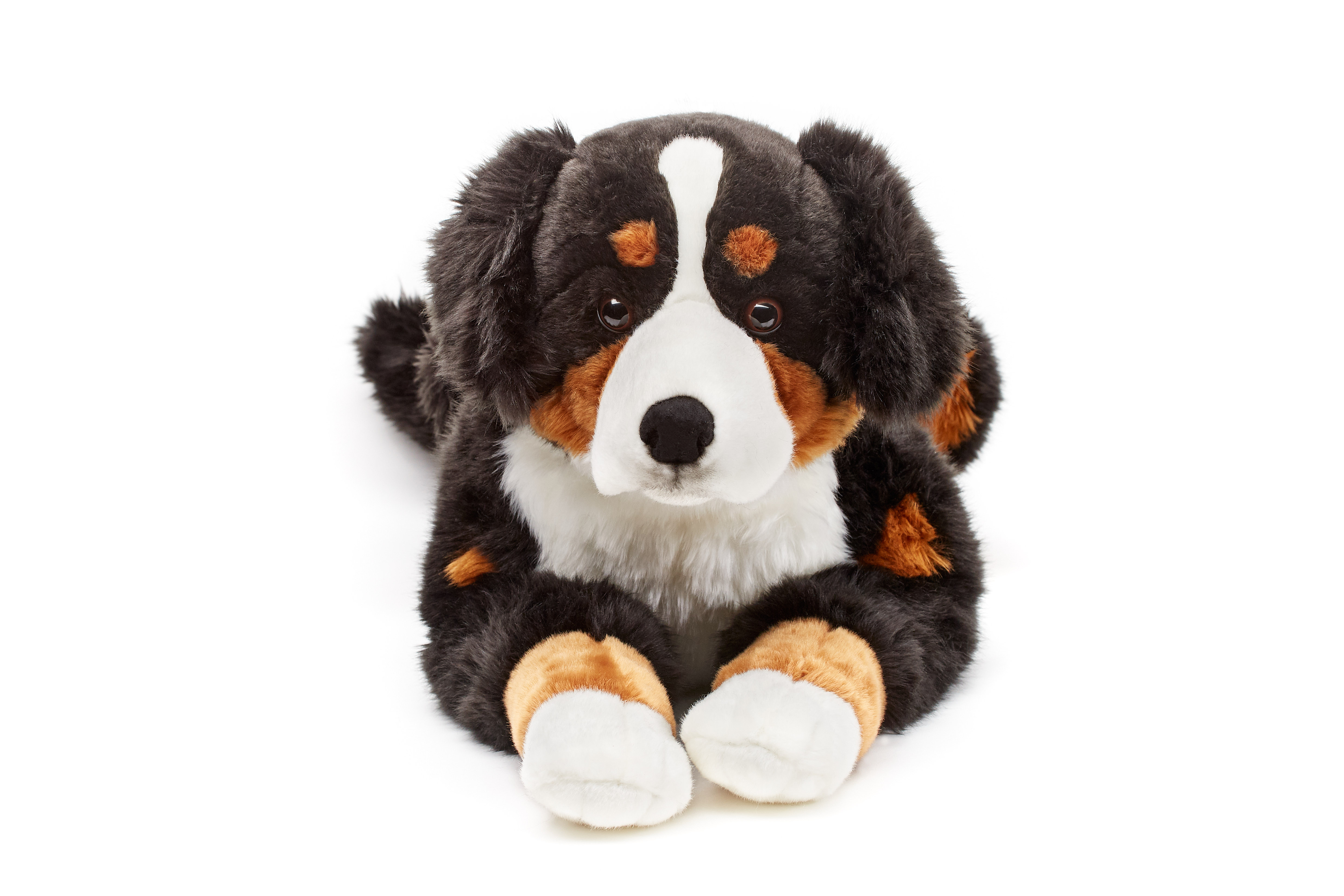 BERNESE MOUNTAIN DOG WITH LEAD 12" SOFT L62433R CUDDLY PLUSH SOFT TOY KOT 