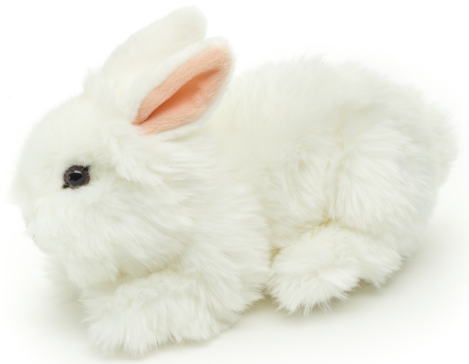 Löwenkopf-Kaninchen, liegend (weiß) - Mit aufgestellten Ohren - 23 cm (Länge)