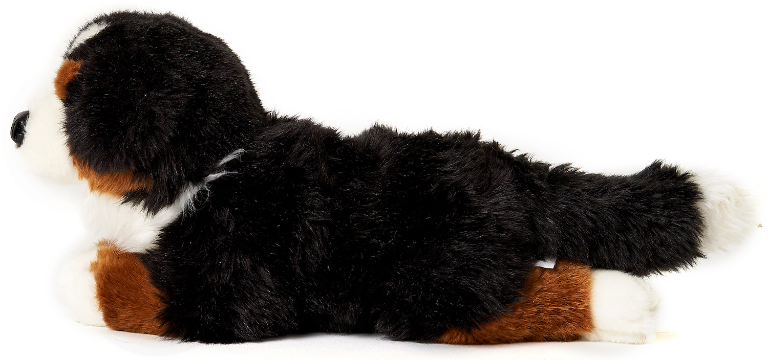 Berner Sennenhund, liegend - 38 cm (Länge) 