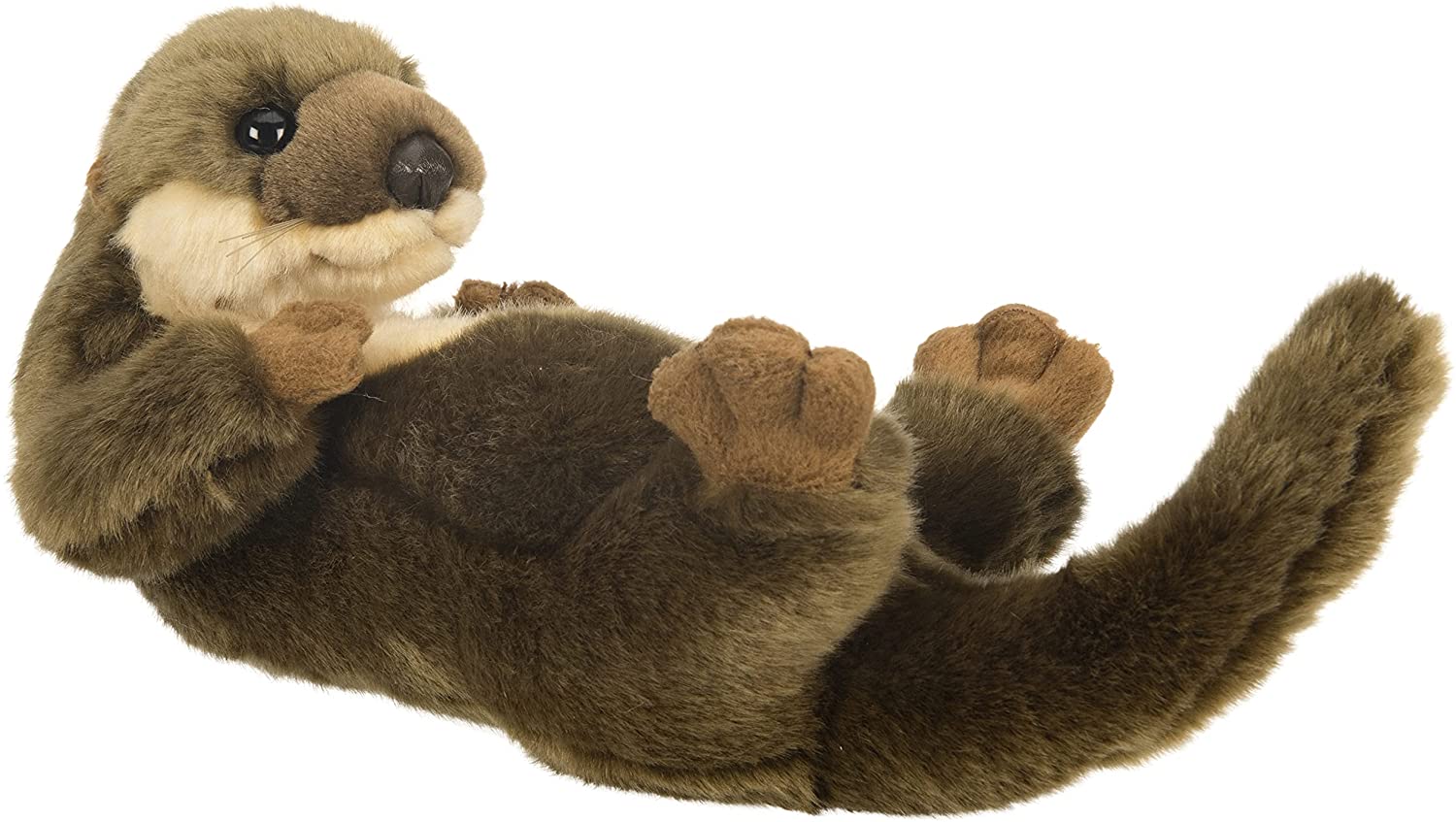  Otter Rückenschwimmer - 26 cm (Länge) 