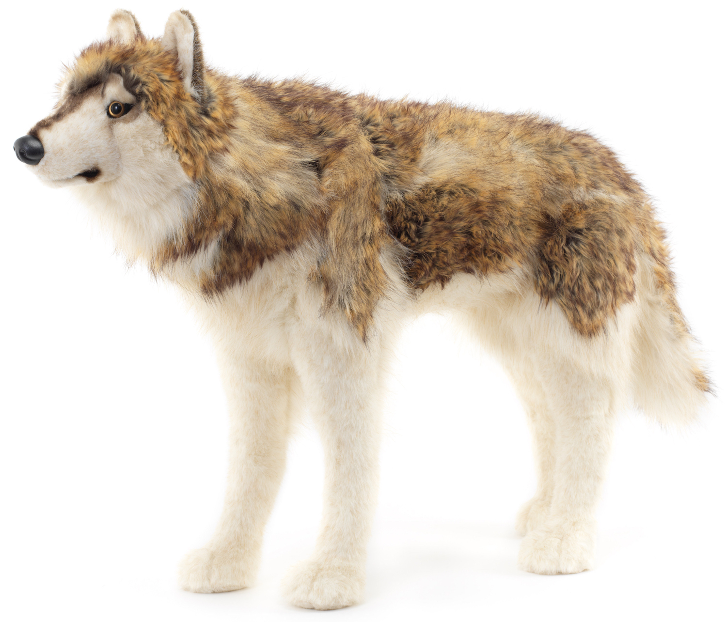  Wolf, standing - 94 cm (length) 