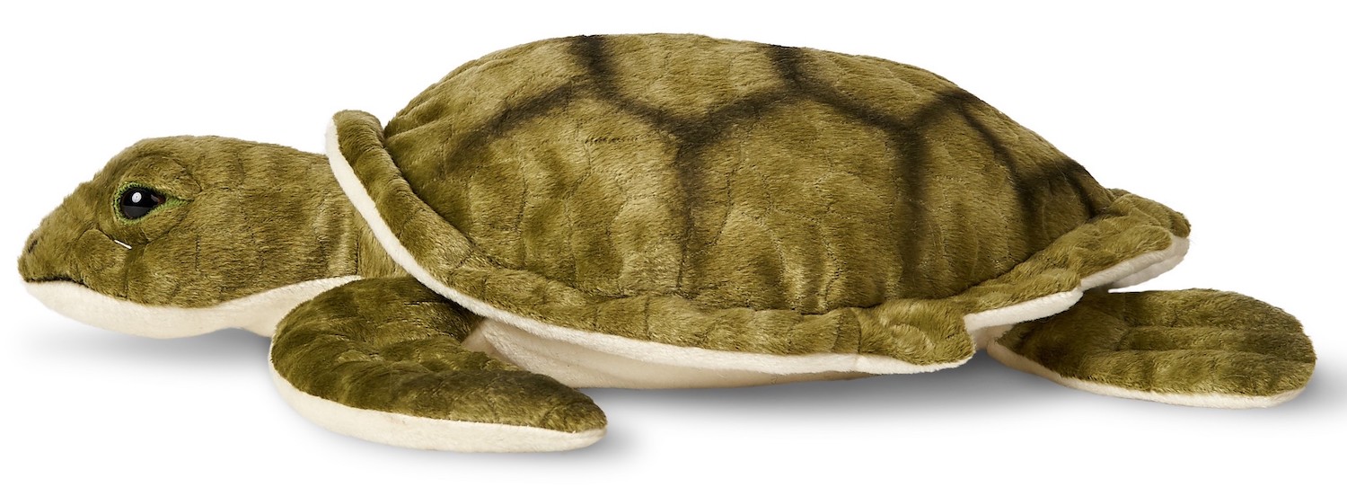 Grüne Meeresschildkröte - 34 cm (Länge) 