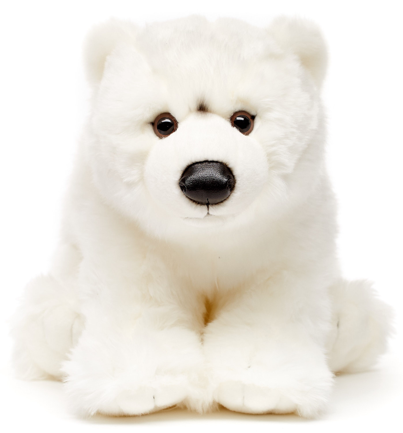 Polar bear cub - 36 cm (length)