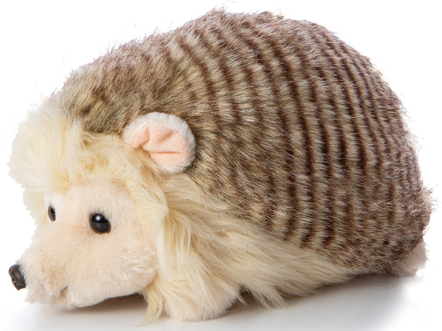 Hedgehog with brown mottled fur, lying - 24 cm (length)