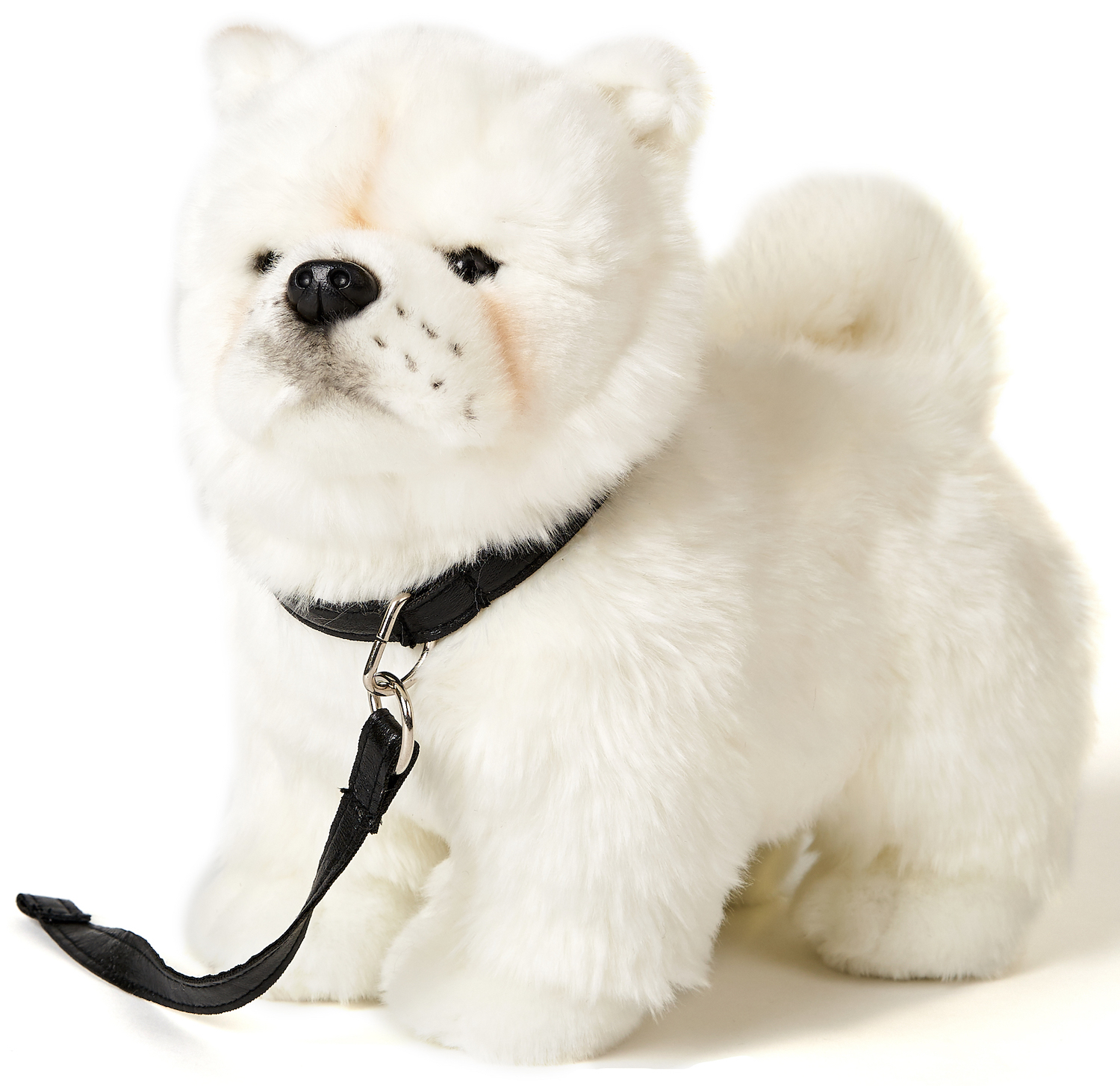 Chow Chow White, Standing, With Leash - 24 cm (height) 