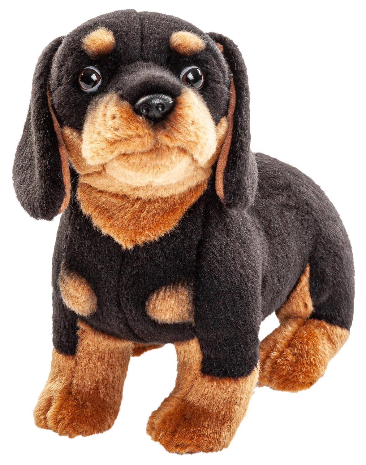 Dachshund (without leash) - 27 cm (length)
